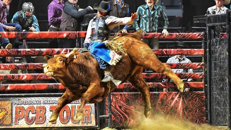 Professional Championship Bull Riders tickets at Walworth County Fair Grounds