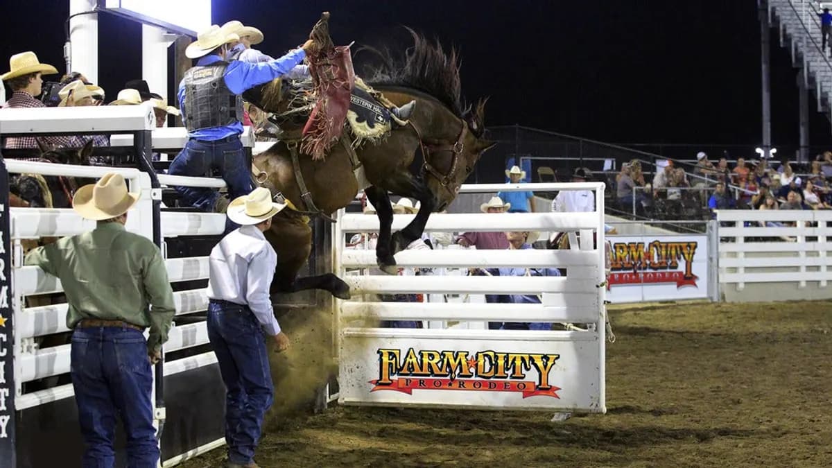 Farm City Pro Rodeo tickets at Umatilla County Fair