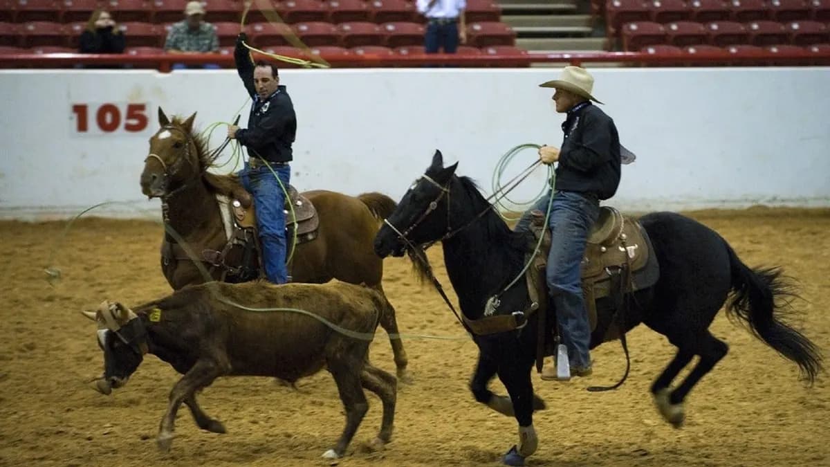 Labor Day Rodeo tickets at Meagher Rodeo Park