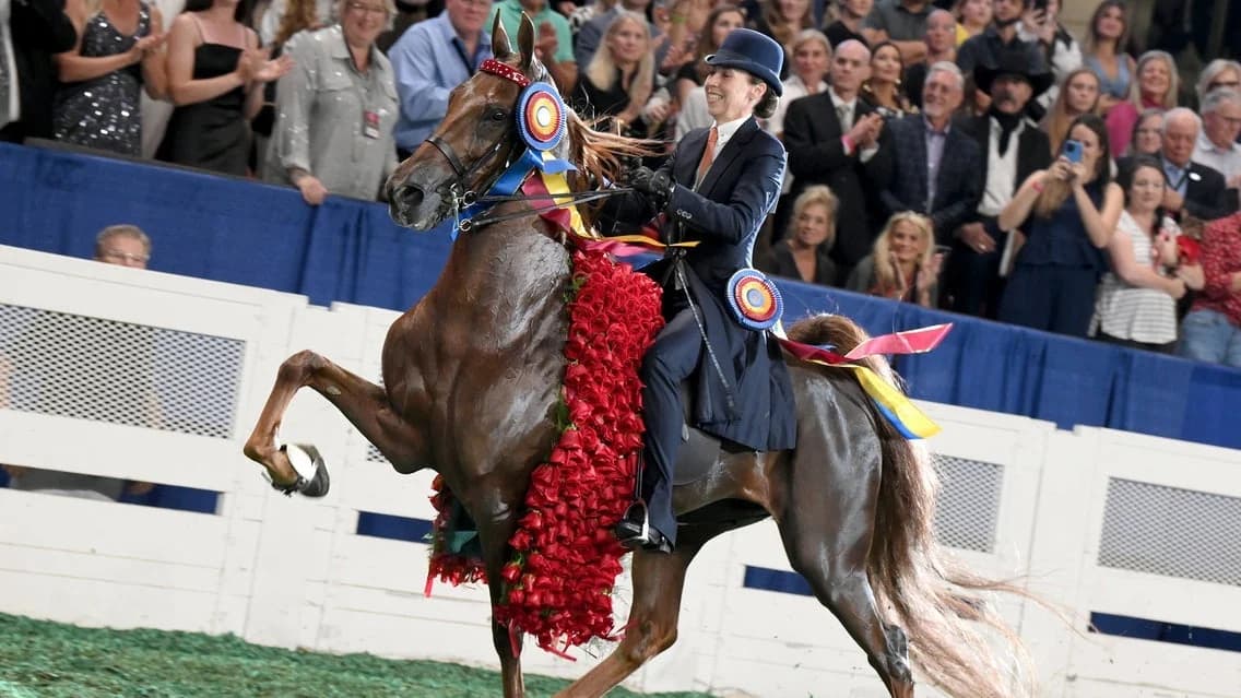 World's Championship Horse Show tickets at Freedom Hall At Kentucky State Fair