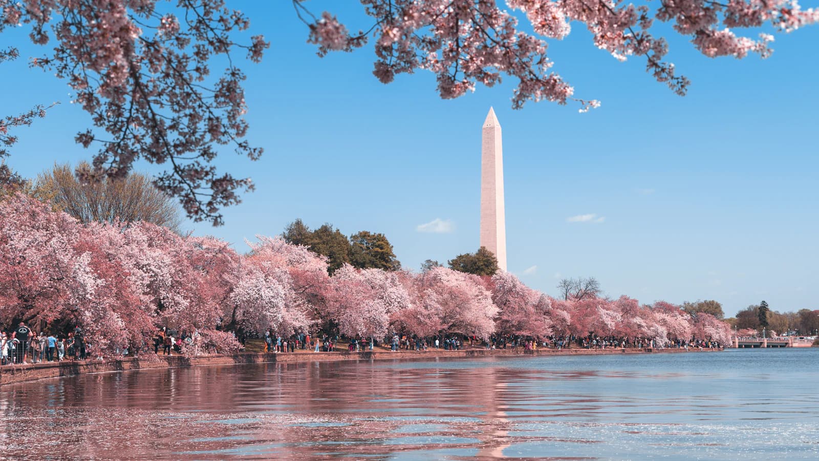 Washington events