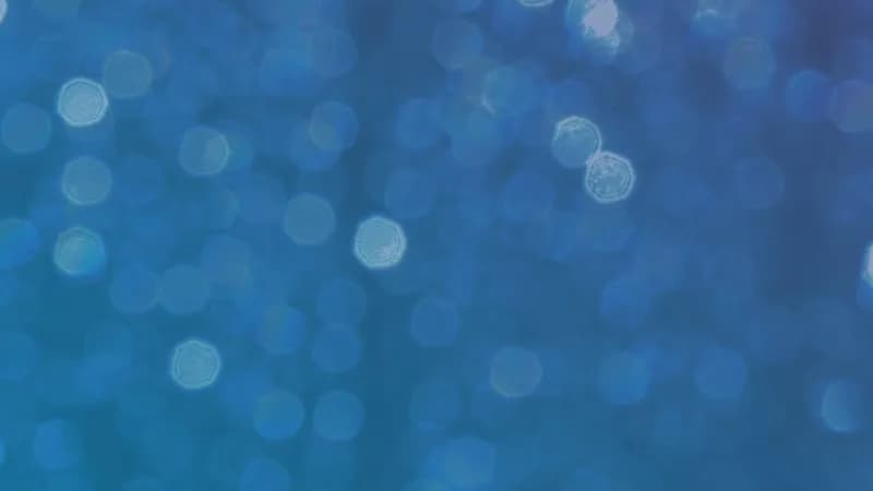 Brash Rodeo tickets at Blue Moon Arena